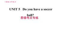 初中英语人教新目标 (Go for it) 版七年级上册Unit 5 Do you have a soccer ball?综合与测试习题ppt课件