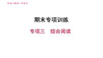 人教版八年级上册英语习题课件 期末专项训练 专项三　阅读理解