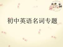 初中英语名词专题课件