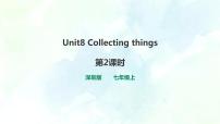 初中英语牛津版 (深圳&广州)七年级上册（2012秋审查）Unit 8 collecting things精品习题ppt课件