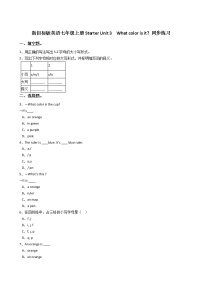 人教新目标 (Go for it) 版七年级上册starters 预备篇（2012秋审查）Unit 3 What color is it ?精品当堂检测题