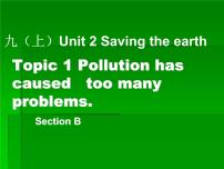 英语九年级上册Topic 1  Pollution has causes too many problems.教案配套ppt课件