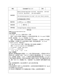 冀教版Lesson 4 What Is It?表格教案及反思