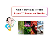冀教版七年级上册Lesson 37 Seasons and Weather教学ppt课件
