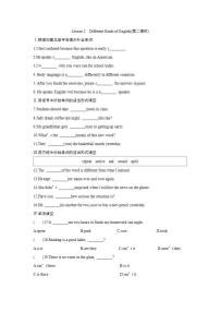 北师大版九年级全册Lesson 2 Different Kinds of Language第二课时课时作业