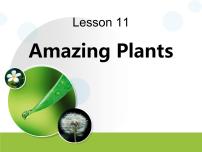 初中英语Lesson 11 Amazing Plants课文课件ppt