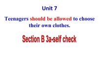 九年级全册Unit 7 Teenagers should be allowed to choose their own clothes.Section A课前预习课件ppt