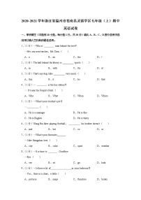 2020-2021学年浙江省温州市苍南县灵溪学区七年级（上）期中英语试卷（含解析）