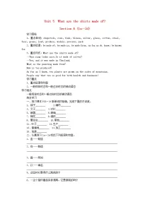 人教新目标 (Go for it) 版九年级全册Section A教案设计