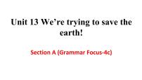 初中英语人教新目标 (Go for it) 版九年级全册Unit 13 We’re trying to save the earth!Section A课文ppt课件