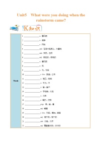 英语人教新目标 (Go for it) 版Section A优秀复习练习题