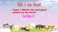 仁爱科普版八年级上册Topic 1 What's the strongest animal on the farm?说课课件ppt