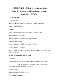 仁爱科普版九年级上册Topic 2  All these problems are very serious.教学设计