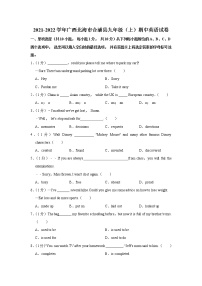 2021-2022学年广西北海市合浦县九年级（上）期中英语试卷（word版 含答案）