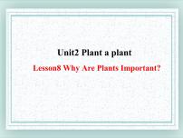 冀教版八年级下册Lesson 8 Why Are Plants Important?课文ppt课件