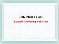 初中英语冀教版八年级下册Lesson 9 Gardening with Mary图片ppt课件