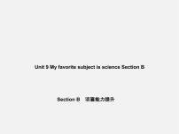 人教新目标 (Go for it) 版七年级上册Section B课堂教学课件ppt