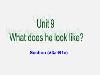 人教新目标 (Go for it) 版七年级下册Unit 9 What does he look like?Section A教案配套ppt课件