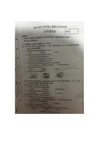 河南省周口市沈丘县2020-2021学年九年级上学期英语期末试卷（图片版 含答案 无听力音频和材料）