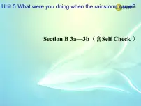 初中英语人教新目标 (Go for it) 版八年级下册Section B教课内容ppt课件