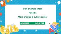 牛津版 (深圳&广州)九年级下册（2014秋审查）Unit2 Culture shock优质课ppt课件