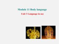 初中外研版 (新标准)Module 11 Body languageUnit 3 Language in use课文课件ppt