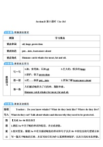 初中英语人教新目标 (Go for it) 版八年级下册Section B优秀教案设计