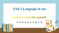 初中英语外研版 (新标准)九年级下册Unit 3 Language in use.教学ppt课件