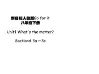 人教新目标 (Go for it) 版八年级下册Unit 1 What’s the matter?Section A示范课课件ppt