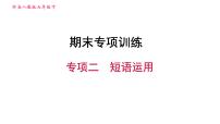 人教版七年级下册英语 期末专项训练 专项二 短语运用 习题课件