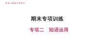 人教版七年级下册英语 期末专项训练 专项二 短语运用 习题课件