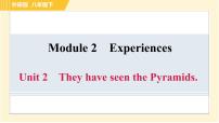 英语八年级下册Module 2  Experiences综合与测试习题课件ppt