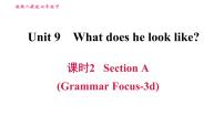 初中英语人教新目标 (Go for it) 版七年级下册Section A习题ppt课件