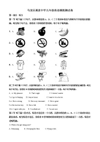 精品解析：2020年云南省曲靖市马龙区通泉中学中考一模英语试题(解析版+原卷版)