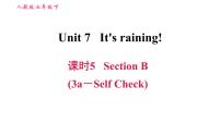 人教新目标 (Go for it) 版七年级下册Unit 7 It’s raining!Section B习题ppt课件