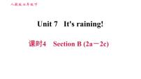 人教新目标 (Go for it) 版七年级下册Section B习题ppt课件