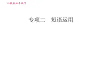 人教版七年级下册英语 期末专项二 短语运用 习题课件