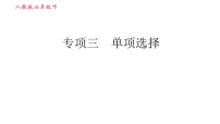 人教版七年级下册英语 期末专项训练 习题课件