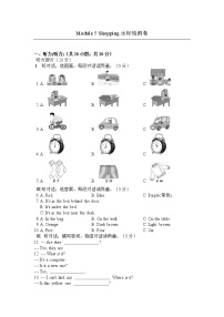 初中英语外研版 (新标准)七年级下册Module 5 Shopping综合与测试综合训练题