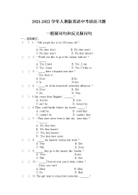 一般疑问句和反意疑问句-2021-2022学年人教版英语中考语法习题
