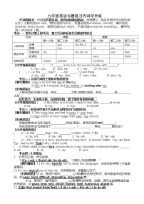 人教版九年级英语专题复习导学案：代词专题