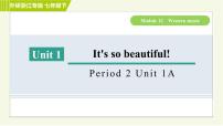 初中英语Unit 1 It’s so beautiful!习题ppt课件