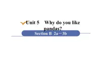 人教新目标 (Go for it) 版七年级下册Section B教案配套课件ppt