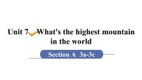 初中人教新目标 (Go for it) 版Section A授课ppt课件