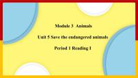 初中英语Module3 AnimalsUnit 5 Save the endangered animals教课ppt课件