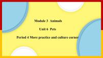 初中英语Module3 AnimalsUnit 6 Pets精品课件ppt