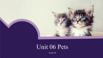 2021学年Module3 AnimalsUnit 6 Pets教课课件ppt