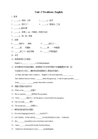 初中英语外研版 (新标准)九年级下册Module 7 English for you and meUnit 2 We all own English.课后测评