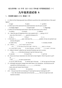 黑龙江省哈尔滨市第一六三中学校2022年九年级中考一模试题(word版含答案)