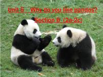 七年级下册Section B说课ppt课件